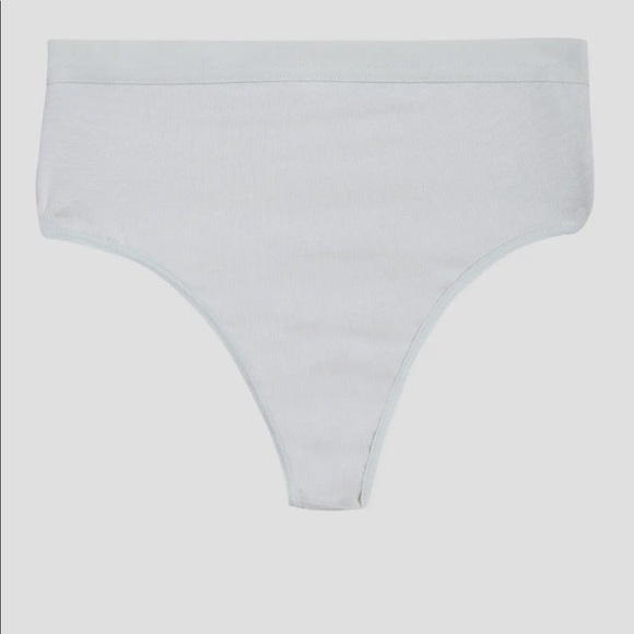 NWT UltimateS High Rose Thong, Sky, (US Large, 22-24) - Picture 1 of 5